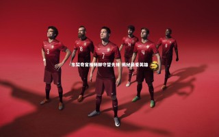 【ng体育官网】东契奇官推畅聊守望先锋 揭秘最爱英雄